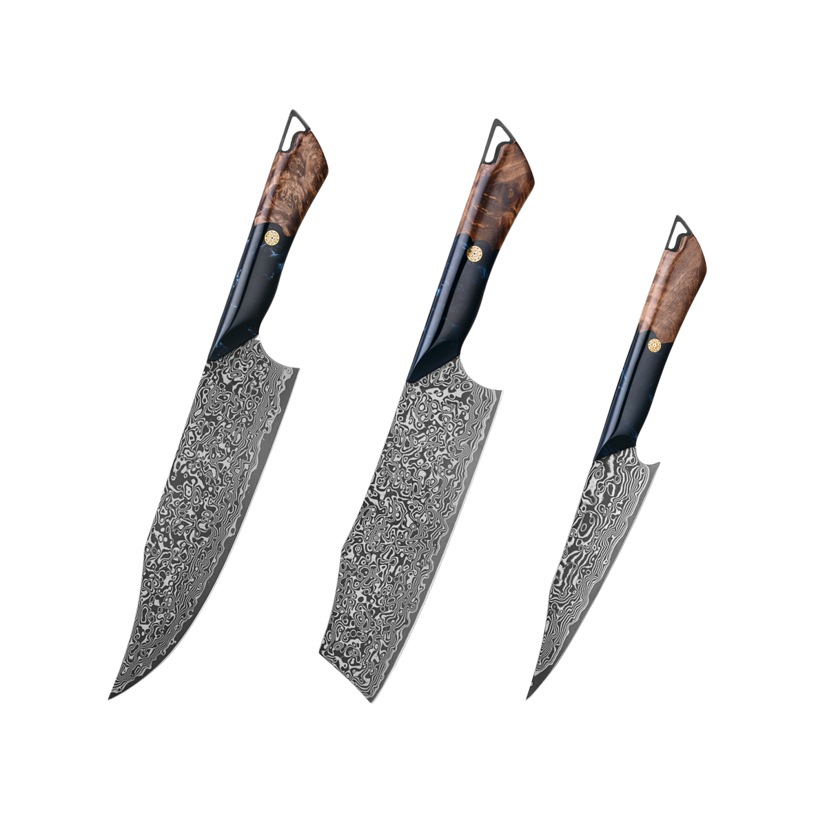 Premium VG-10 Damascus DLC Coating Knife Set H211
