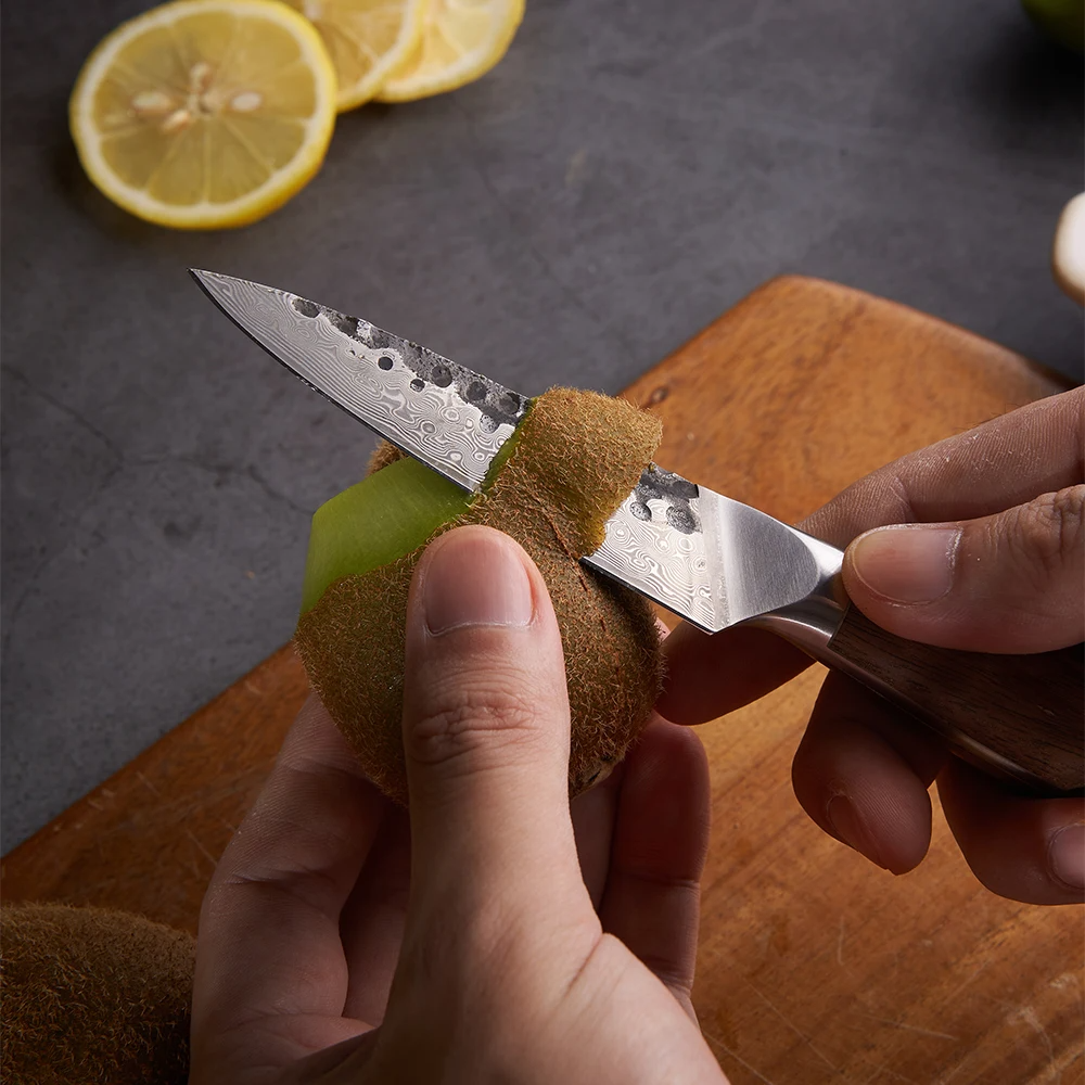 Paring Knife, Hikari – Damascus Blade with Premium Walnut Handle for Precision Cutting and Delicate Tasks