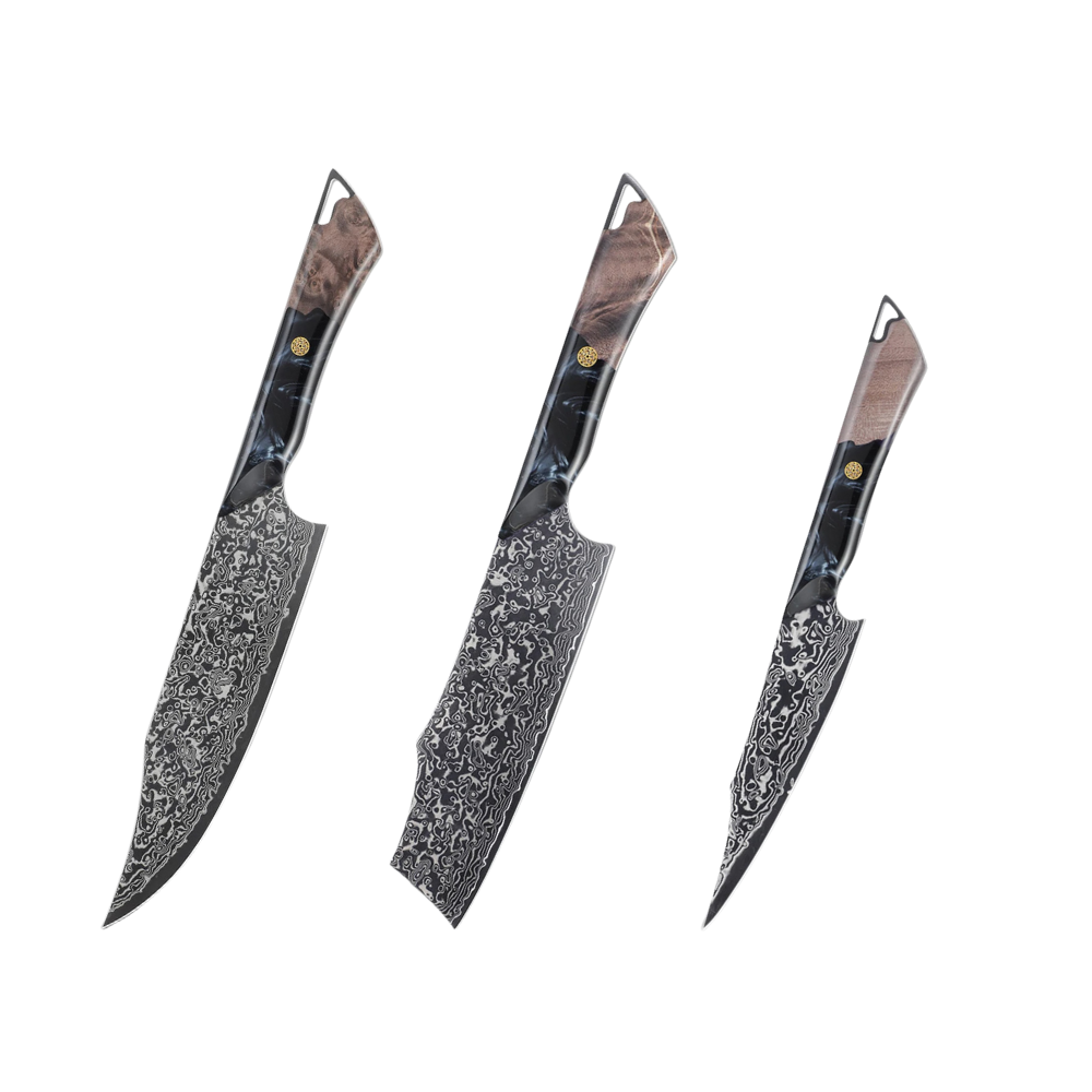 Premium VG-10 Damascus DLC Coating Knife Set H211