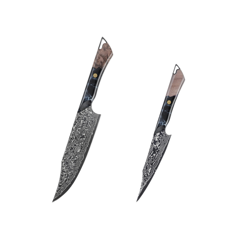 Premium VG-10 Damascus DLC Coating Knife Set H212