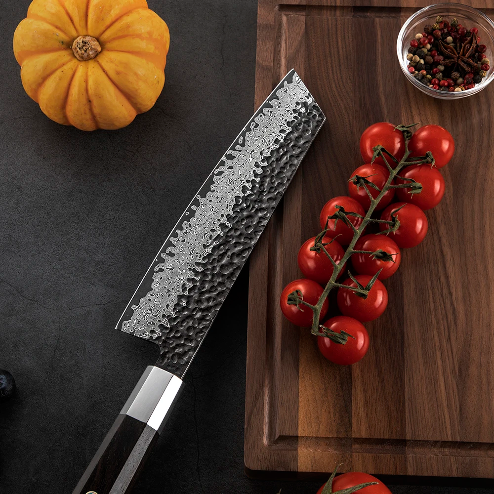 Professional Kiritsuke Knife, Hikari – All-Purpose Kitchen Knife with VG-10 Core and Damascus Steel, Ebony handle