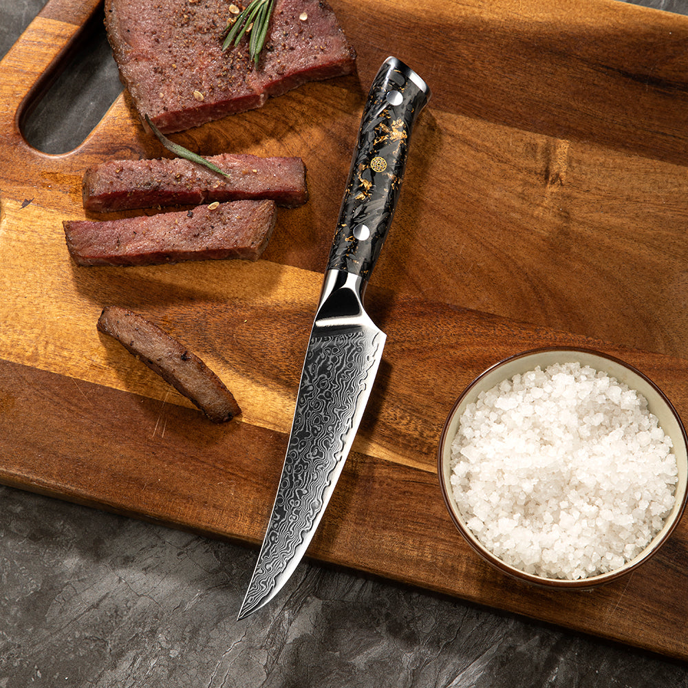 Premium Steak Knife – Damascus Steel VG-10 Core, Kitchen Knife Ideal for Slicing Roasts, and BBQ